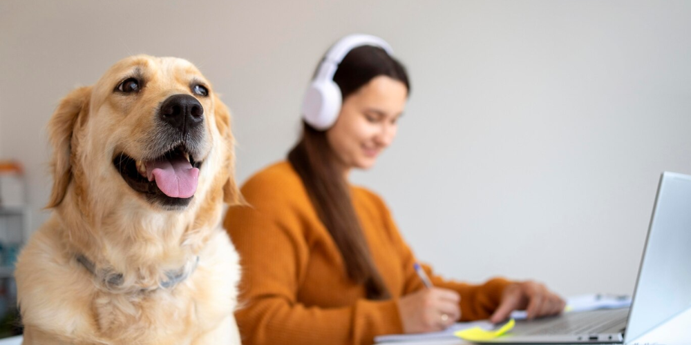A Golden Retriever Spills Office Secrets—And It’s Hilarious